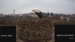 2025-03-25 17_33_46-Bociany Biecz - YouTube - Maxthon.png