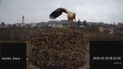 2025-03-25 17_34_48-Bociany Biecz - YouTube - Maxthon.png