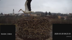2025-03-25 17_35_20-Bociany Biecz - YouTube - Maxthon.png