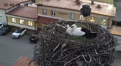 20250325_180605.jpg