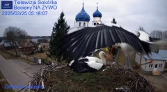 IMG_9745.jpeg