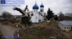 IMG_9751.jpeg