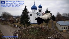 IMG_9752.jpeg
