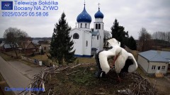 IMG_9754.jpeg