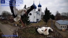 IMG_9755.jpeg