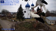 IMG_9758.jpeg