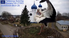 IMG_9760.jpeg