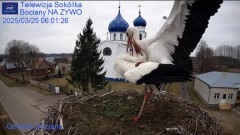 IMG_9761.jpeg