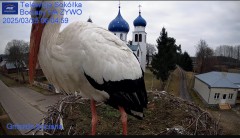 IMG_9764.jpeg