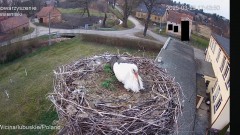 IMG_4871.jpeg