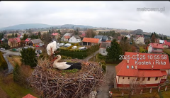 2025-03-25 18_14_53-Gniazdo bocianie _Kostek i Rika_ - Podkarpacie Kostarowce - YouTube - Maxthon.png