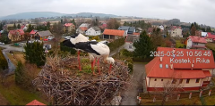 2025-03-25 19_06_10-Gniazdo bocianie _Kostek i Rika_ - Podkarpacie Kostarowce - YouTube - Maxthon.png