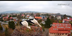 2025-03-25 19_07_12-Gniazdo bocianie _Kostek i Rika_ - Podkarpacie Kostarowce - YouTube - Maxthon.png