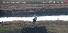 IMG_0010.jpeg