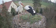 IMG_0011.jpeg