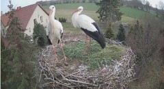 IMG_0013.jpeg