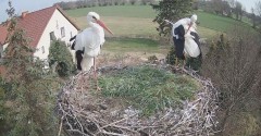 IMG_0019.jpeg