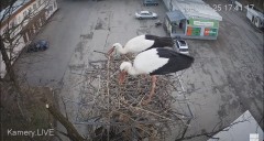 IMG_0111.jpeg