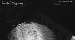 IMG_4874.jpeg