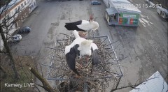 IMG_0122.jpeg