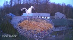 IMG_0128.jpeg