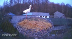 IMG_0129.jpeg