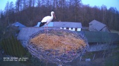 IMG_0130.jpeg