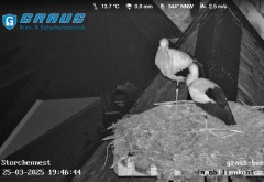 bandicam 2025-03-25 19-47-09-484.jpg