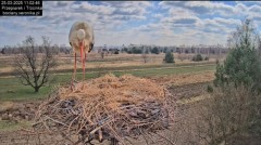 IMG_0139.jpeg