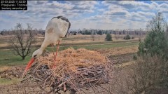 IMG_0140.jpeg