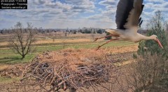 IMG_0143.jpeg