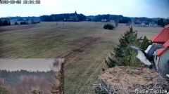 2025-03-25 20_48_02-Bociany na żywo - Gniazdo Osti i Lenka - YouTube - Maxthon.png