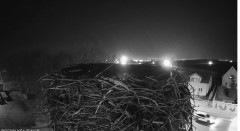 IMG_0144.jpeg