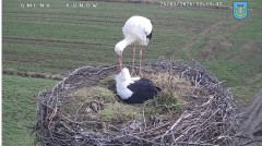 IMG_9933.jpeg