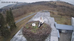 2025-03-25 21_47_47-[stimotion.pl] Bociany w Rzepedzi - YouTube - Maxthon.png