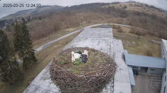 2025-03-25 21_48_11-[stimotion.pl] Bociany w Rzepedzi - YouTube - Maxthon.png