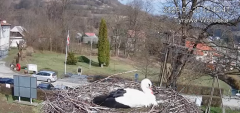 2025-03-25 21_55_49-Tyrawa Wołoska - gniazdo bocianie - YouTube - Maxthon.png
