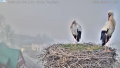IMG_9859.jpeg