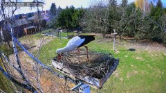 IMG_9847.jpeg