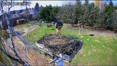 IMG_9851.jpeg