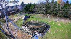 IMG_9854.jpeg