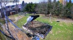 IMG_0164.jpeg