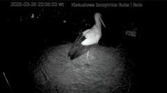 IMG_0189.jpeg