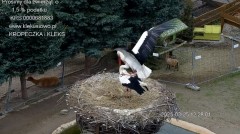 IMG_0174.jpeg