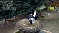 IMG_0176.jpeg