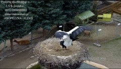 IMG_0177.jpeg