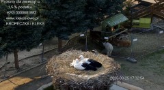 IMG_0173.jpeg