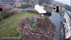 IMG_4885.jpeg
