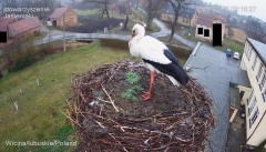 IMG_4886.jpeg