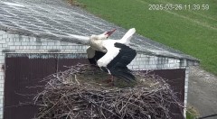 IMG_0221.jpeg